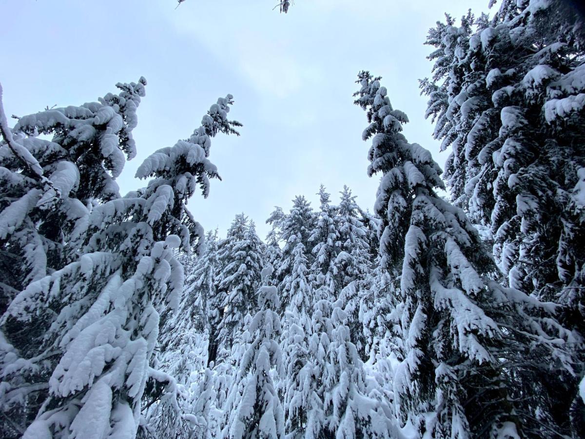 Ferienwohnung Oxana Im Naturpark Fichtelgebirge Schonwald  Exteriér fotografie