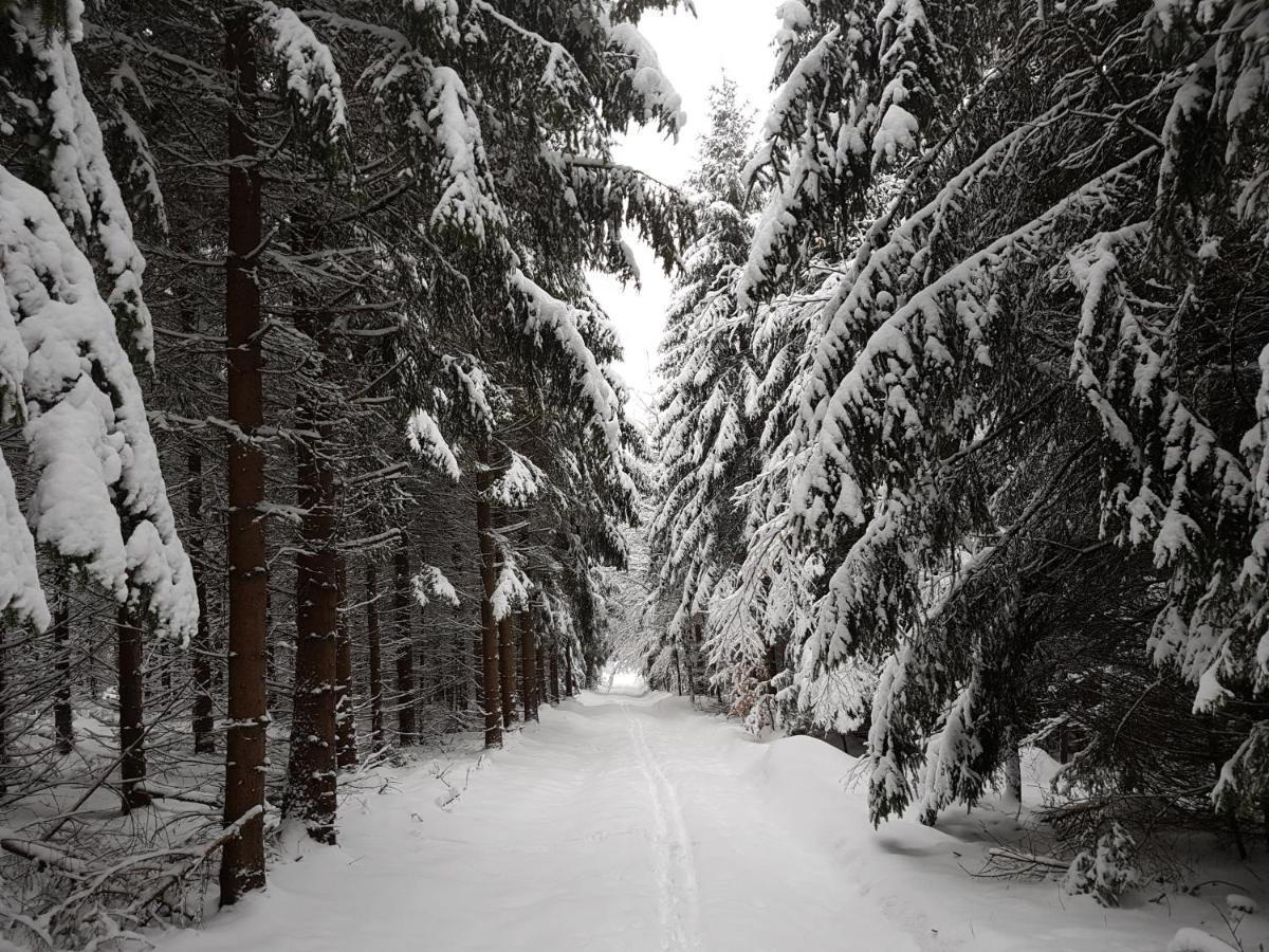 Ferienwohnung Oxana Im Naturpark Fichtelgebirge Schonwald  Exteriér fotografie