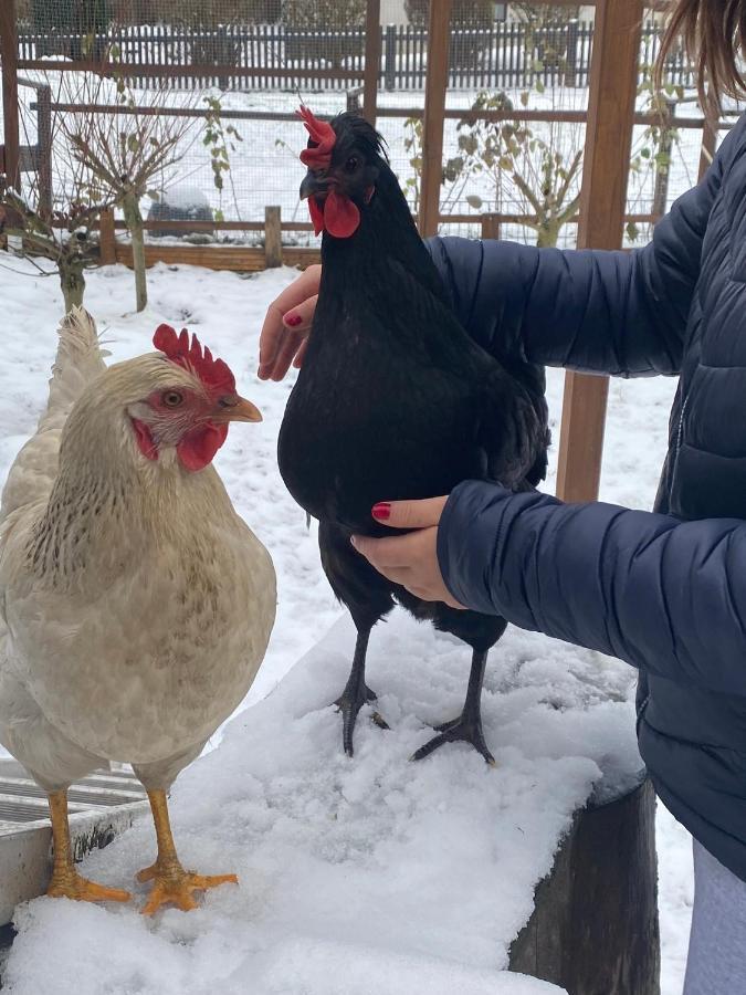Ferienwohnung Oxana Im Naturpark Fichtelgebirge Schonwald  Exteriér fotografie